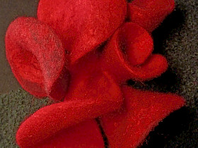 Tyyni Tyyni rintakoru 05 